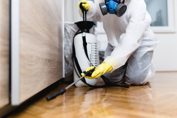 Professional Pest Control in Wintersville, OH