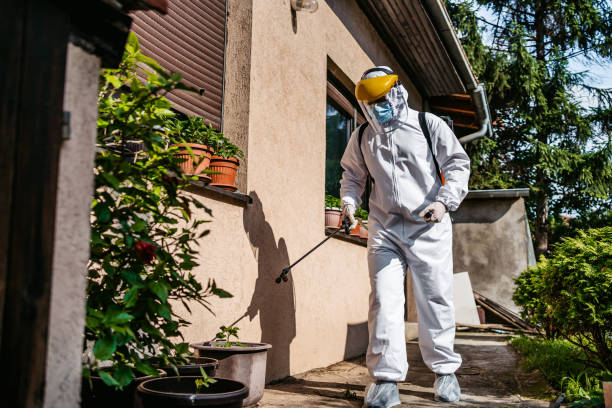 Best Wasp Removal Services  in Wintersville, OH