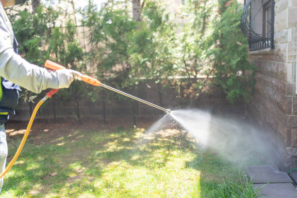 Best Termite Control Services  in Wintersville, OH