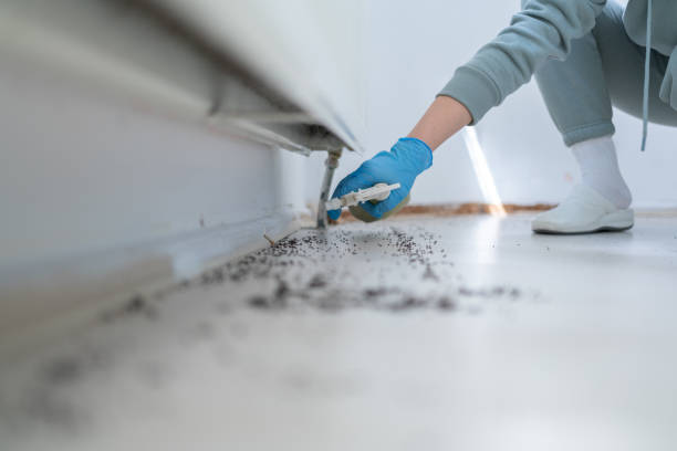 Best Best Pest Control Companies  in Wintersville, OH