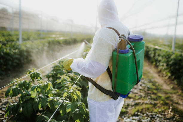 Best Bed Bug Extermination  in Wintersville, OH